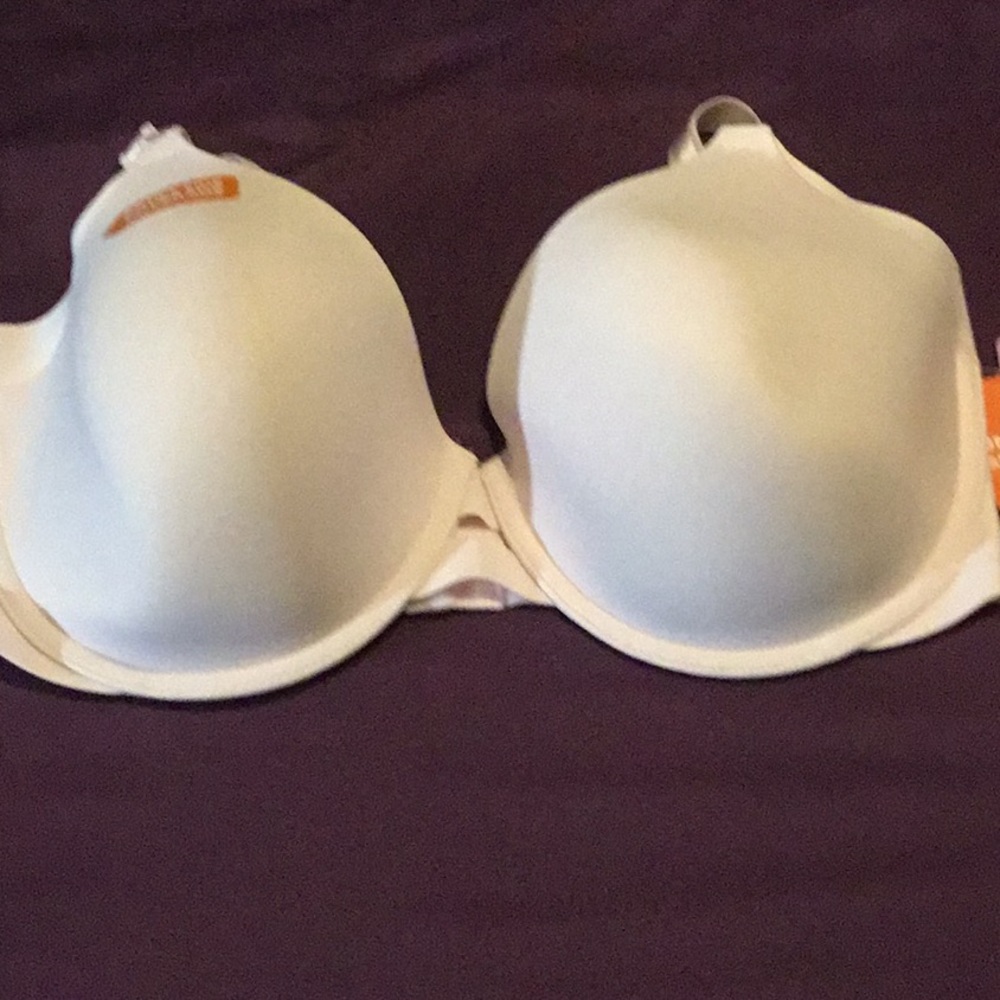 NWT Warner’s 36DD Bra
